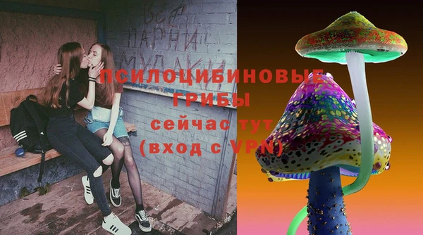 МДПВ Вязники